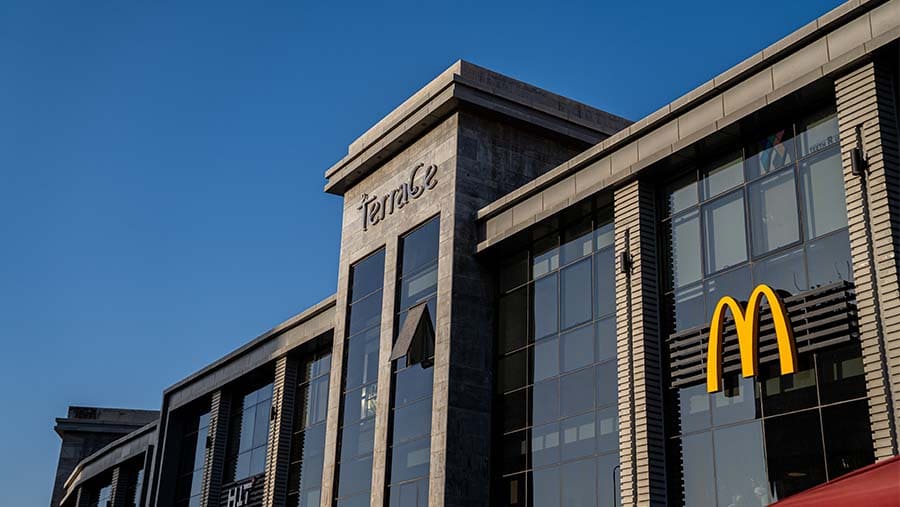 تيراس مول - صورة 9